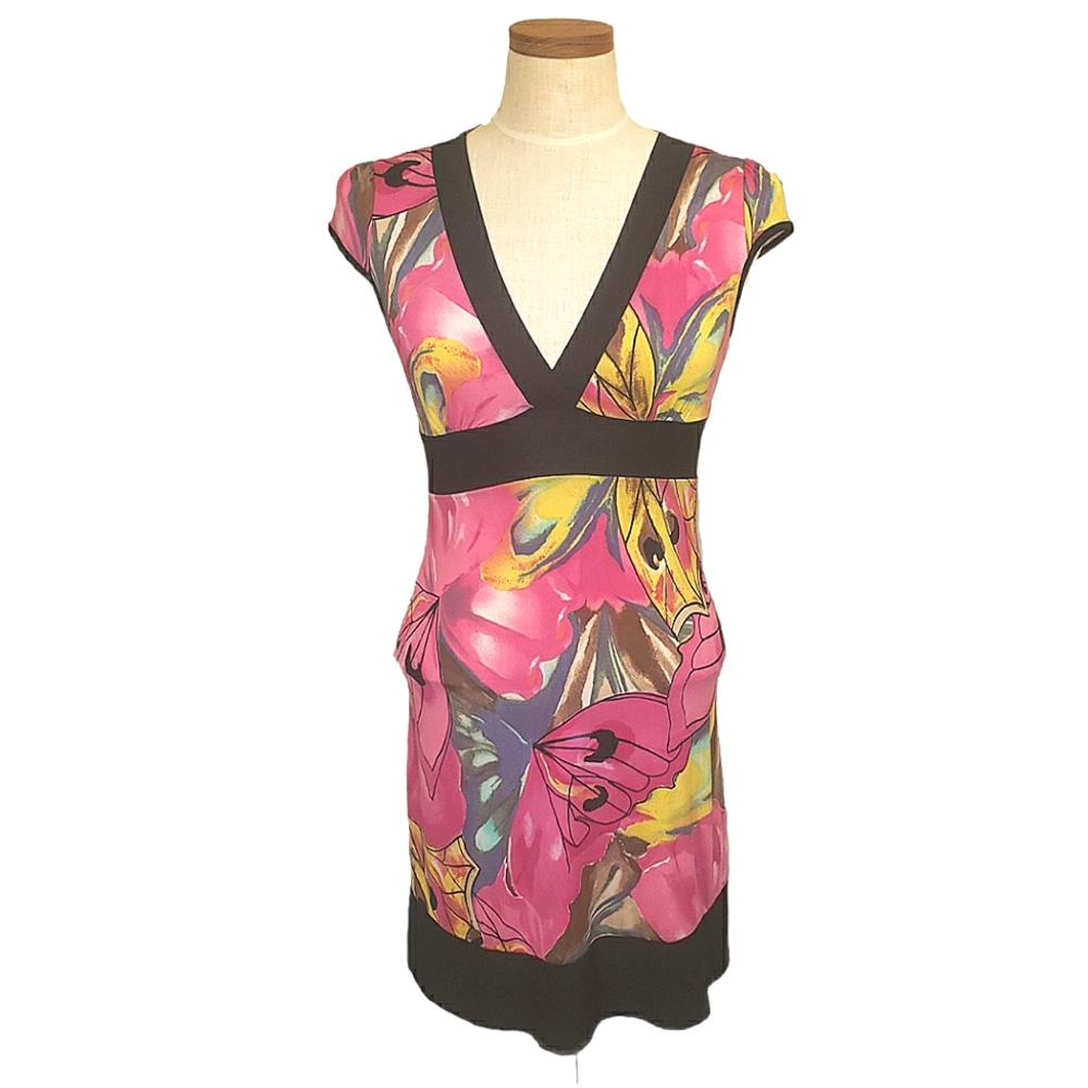 Body Central Empire Waist Floral V-Neck Dress S